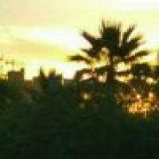 时光故人，不愿醒来