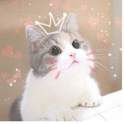 ♈🈲🈵🔯🈳🈷🔱