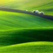 ┣开心╋就好┫