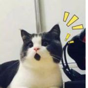 小翔子