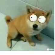 倾城