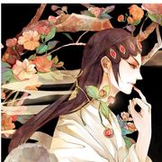 灰苜宿