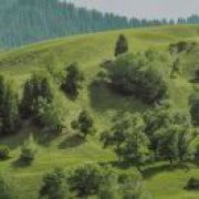 大块头有大智慧