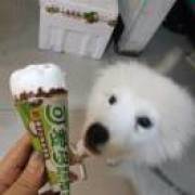 吾爱永恒