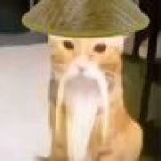 海狮明星的吴大师