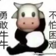 ikun