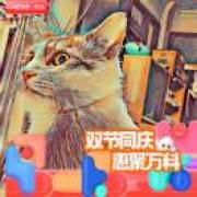 吴迪