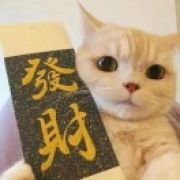 幸运星🌟