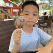 超级无敌帅气飞狗