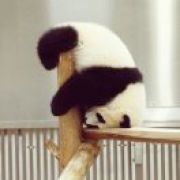方圆