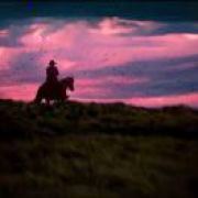 给面子的朋友都叫我阿洋