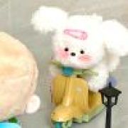 小棉花宝（互🍊前二）