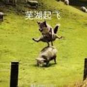 满级打工人