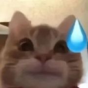 怪兽