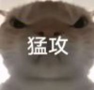 发烧的鸡