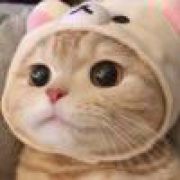 断情
