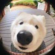 爱伶俐吖