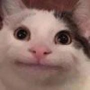 决然之昭（小昭）