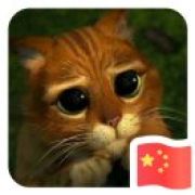 所谓