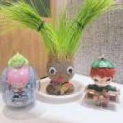 驷马追回来了仨307