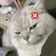 人前冷漠装深沉