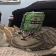 蓬莱松