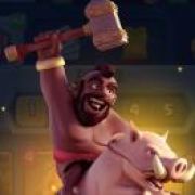 zwywdqc