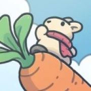 柳光奇