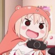 懒猫