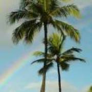 如果时光能回头