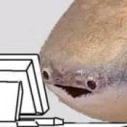一只鱼