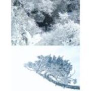 派大星我是章鱼哥