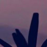 悄无.声息