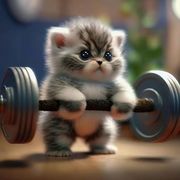 可可爱爱奇奇怪怪