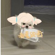 哎鸭