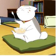 一只路过的格雷福斯