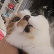 骁骁雨歇