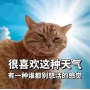 懒玩