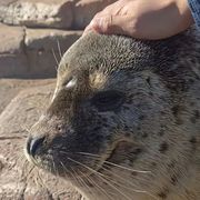 互赞（赞置顶🔝）