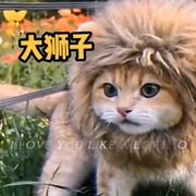 恶言