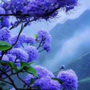浅蓝色的天空之城