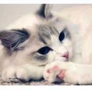 我喜欢你，关你什么事..