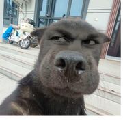 鬼北魍