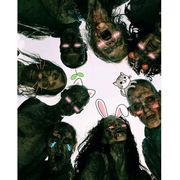 山鸟与鱼路不同