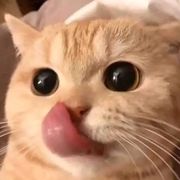 离泽安