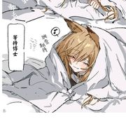 kj哈