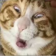 达到雕刻的艺术