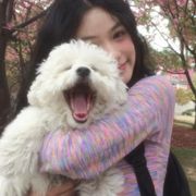 礼礼