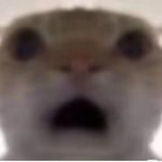 随便