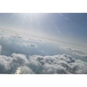 人狠话多不好惹